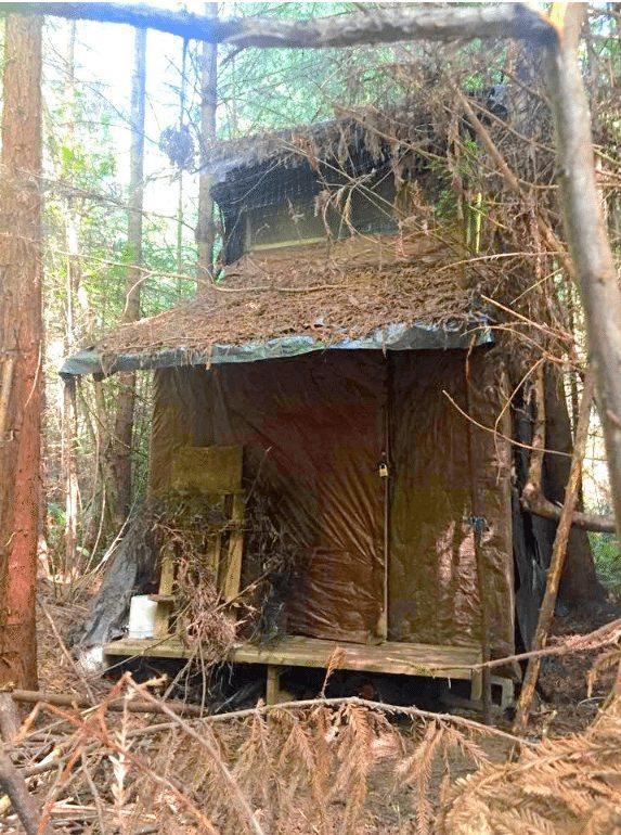 اتاقک مخفی در جنگل ، فروش آنلاین بلیط هواپیما