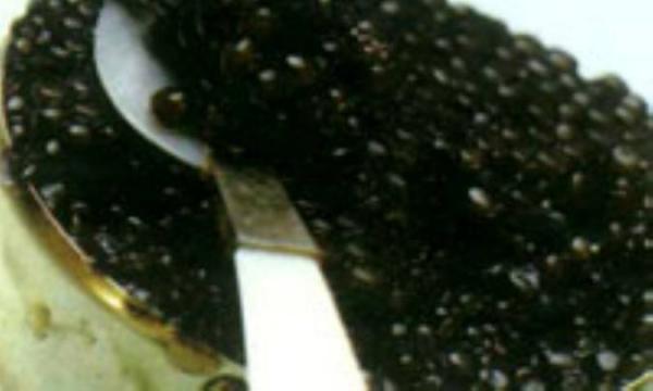 مرواریدی به نام خاویار