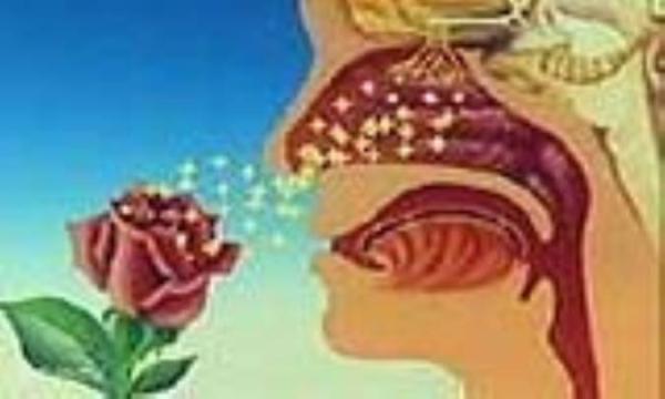 علل و علائم پاروسمی