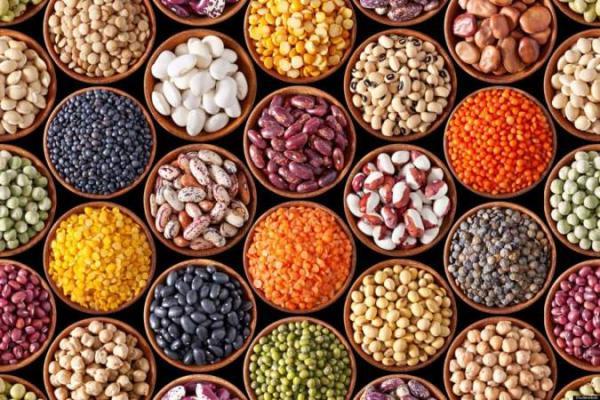 6 گیاه منبع پروتئین 6 گیاه منبع پروتئین