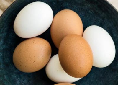 تخم مرغ قهوه ای در برابر تخم مرغ سفید؛ آیا واقعا تفاوت دارند؟