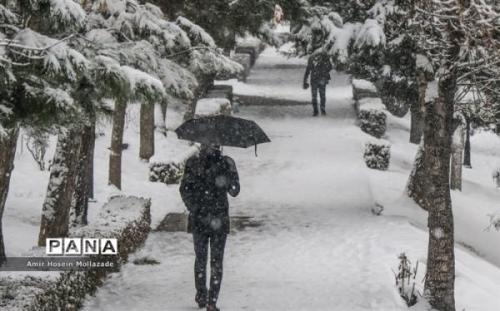 بارش برف و باران در بیشتر منطقه ها کشور؛ دمای هوا تا 12 درجه کاهش می یابد