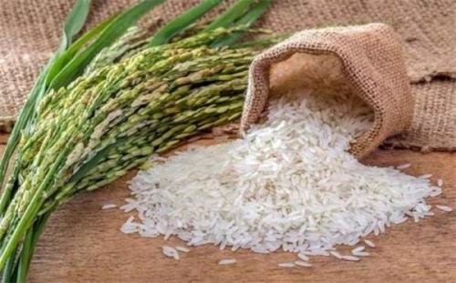 افزایش میانه قیمت جهانی برنج