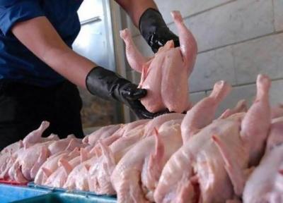 مرغ دوباره گران می گردد؟ ، قیمت کنونی مرغ گرم در خرده فروشی ها