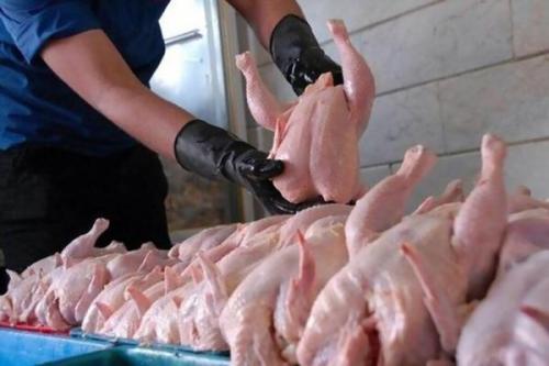 مرغ دوباره گران می گردد؟ ، قیمت کنونی مرغ گرم در خرده فروشی ها