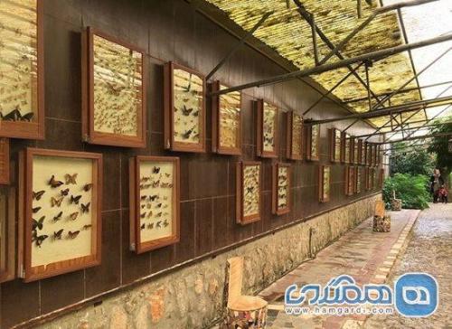باغ موزه پروانه ها یکی از جاهای دیدنی استان اصفهان است