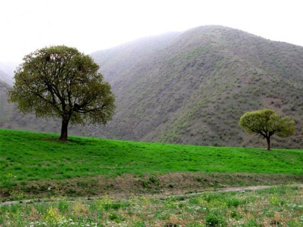 کوهستان سارال؛ بهشتی بکر در قلب کردستان