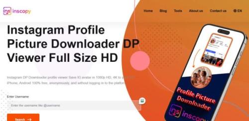 Top (5) Ways to Download Instagram DP Profile in Full Size